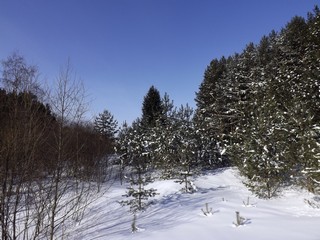 У низинки (Дмитрий Зонов)