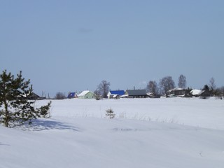 Осинцы (Дмитрий Зонов)