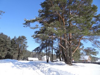 Около ДОЛ Юность (bokax)