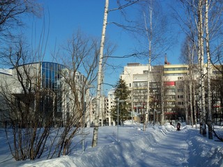 Аллея в парке им.Гагарина (Дмитрий Зонов)