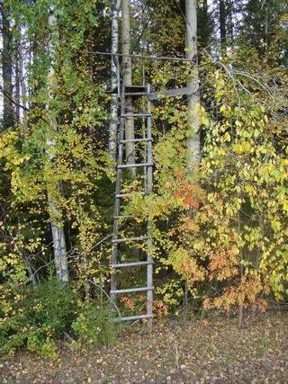 Лабаз возле овсяного поля (Alexey Fialkovskiy)