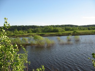 Кишкиль (Александр Холкин)