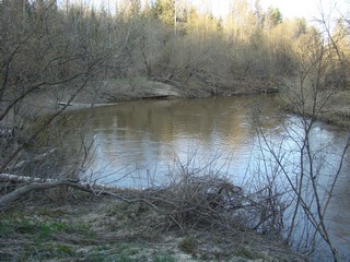 Мельничный омут (Alexey Fialkovskiy)