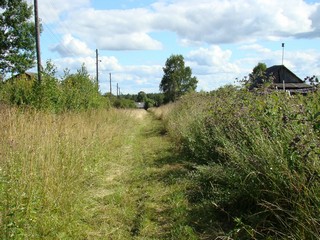 Деревня Омутная (Alexey Fialkovskiy)