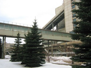 Ели у ТЭЦ-5 (Дмитрий Зонов)