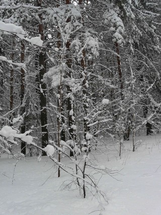 12 апреля (DISCO COMMANDER)