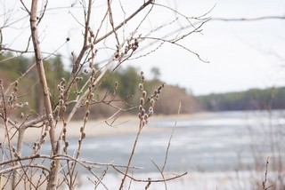 Beginning of a new season (john_smith14 (2))