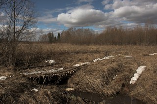 Мостик (Феликс Цешнатий)