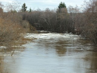 Медянка, ледоход (Дмитрий Зонов)