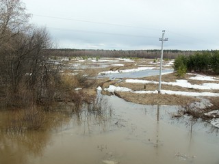 Пойма Медянки, левый берег (Дмитрий Зонов)