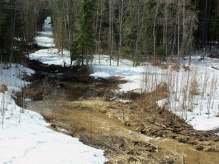 Весенний ручей (Дмитрий Зонов)