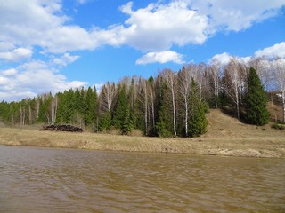 Берег р. Воя около д. Ключи (bokax)