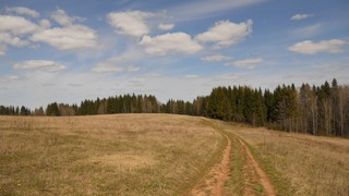 Полевая дорога (Andrey Ivashchenko)