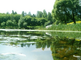 Верхний пруд у Цирка (solfir)