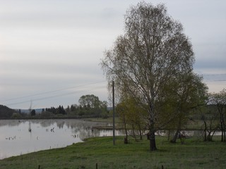 Пруд в Вахрино (Serg Nikiforov)