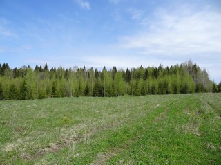 Около д. Сырчины (bokax)