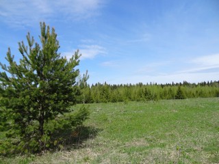 Около д. Сырчины (bokax)