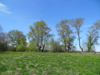 д. Сырчины (bokax)