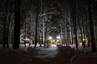 Сквер за дворцом 