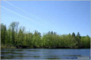 р. Большая Кокшага. (До автомобильного моста на трассе Р-176 «Вятка» примерно 7…8 км). Марий Эл. Россия. Май 2013 г. (Alex Van Shumm)