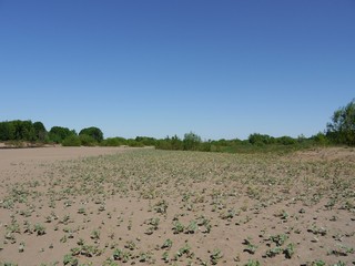 Дикий пляж (Никита Боков)