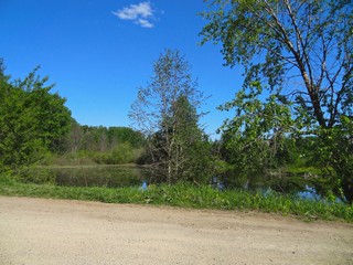 Пруд д. Елизарово (bokax)