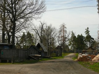 * * * (Georgy Shalaginov)