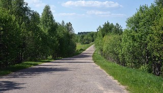 дорога на Гидаево (Денис Логиновский (denlog))