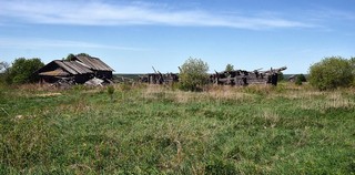 д.Нелысово (Денис Логиновский (denlog))