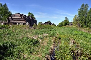 д.Картасик (Денис Логиновский (denlog))