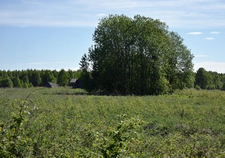 д.Юркино (Денис Логиновский (denlog))