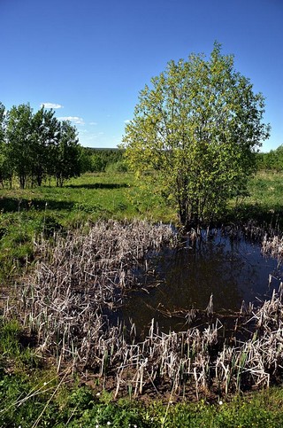 д.Юркино (Денис Логиновский (denlog))