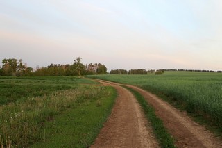 Дорога возле деревни Салтык-Ерыклы, Кукморский район, Республика Татарстан. Фото сделано 29.05.2013, 4:20 (Alexandr El'kin)