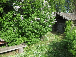 Домик на пасеке (lexa-xa)