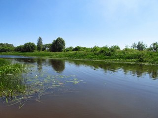 Залив у Сидоровки (Дмитрий Зонов)