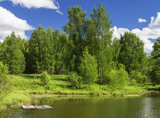 У Домницкого пруда (Master_Team)