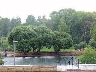 Июльский ливень (Дмитрий Зонов)