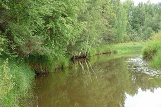 Паозер (Ольга Боган)