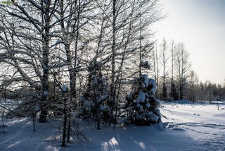 Grigorij Bojko Viktorovich, 420073, Russian federation, Tatarstan, Kazan, Adelya Kutuya st. 12, 2, sicret-bgv@mail.ru, +7 (917)9271114 (Grigoriy Boyko)