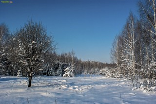 Grigorij Bojko Viktorovich, 420073, Russian federation, Tatarstan, Kazan, Adelya Kutuya st. 12, 2, sicret-bgv@mail.ru, +7 (917)9271114 (Grigoriy Boyko)