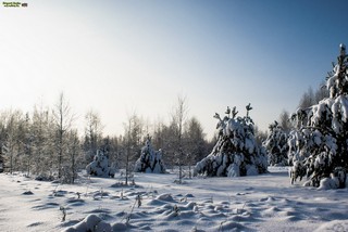 Grigorij Bojko Viktorovich, 420073, Russian federation, Tatarstan, Kazan, Adelya Kutuya st. 12, 2, sicret-bgv@mail.ru, +7 (917)9271114 (Grigoriy Boyko)