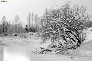 Grigorij Bojko Viktorovich, 420073, Russian federation, Tatarstan, Kazan, Adelya Kutuya st. 12, 2, sicret-bgv@mail.ru, +7 (917)9271114 (Grigoriy Boyko)