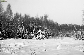 Grigorij Bojko Viktorovich, 420073, Russian federation, Tatarstan, Kazan, Adelya Kutuya st. 12, 2, sicret-bgv@mail.ru, +7 (917)9271114 (Grigoriy Boyko)