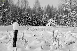 Grigorij Bojko Viktorovich, 420073, Russian federation, Tatarstan, Kazan, Adelya Kutuya st. 12, 2, sicret-bgv@mail.ru, +7 (917)9271114 (Grigoriy Boyko)