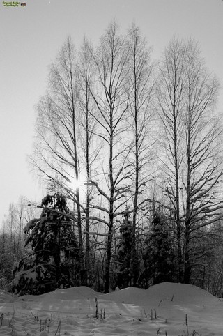 Grigorij Bojko Viktorovich, 420073, Russian federation, Tatarstan, Kazan, Adelya Kutuya st. 12, 2, sicret-bgv@mail.ru, +7 (917)9271114 (Grigoriy Boyko)