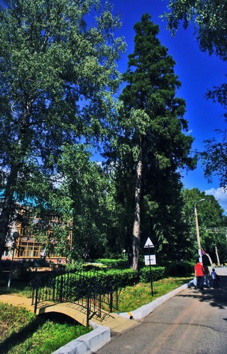 Санаторий Металлург (Boris Busorgin)