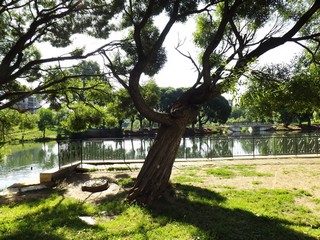 Ива (Дмитрий Зонов)