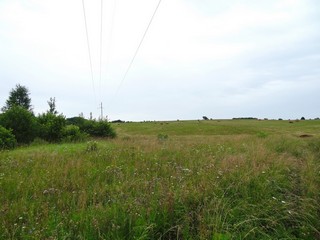 Поле около бд. Сенниковы (bokax)