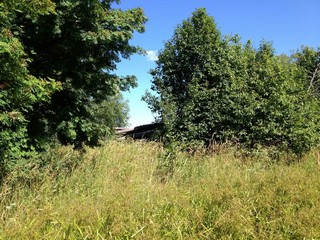 д. Шабаны, останки деревни (Роман Кобелев)