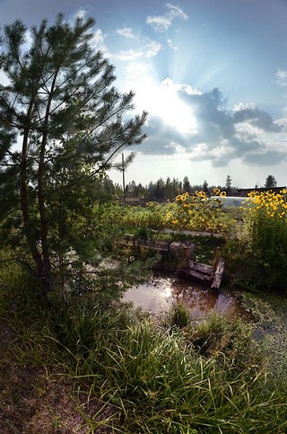 п.Гарь (Денис Логиновский (denlog))